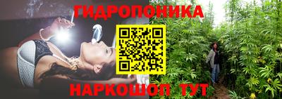 индика Апрелевка
