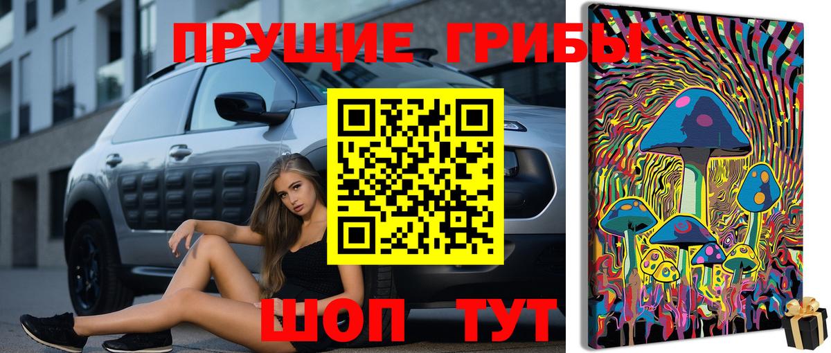 Галлюциногенные грибы прущие грибы Бузулук