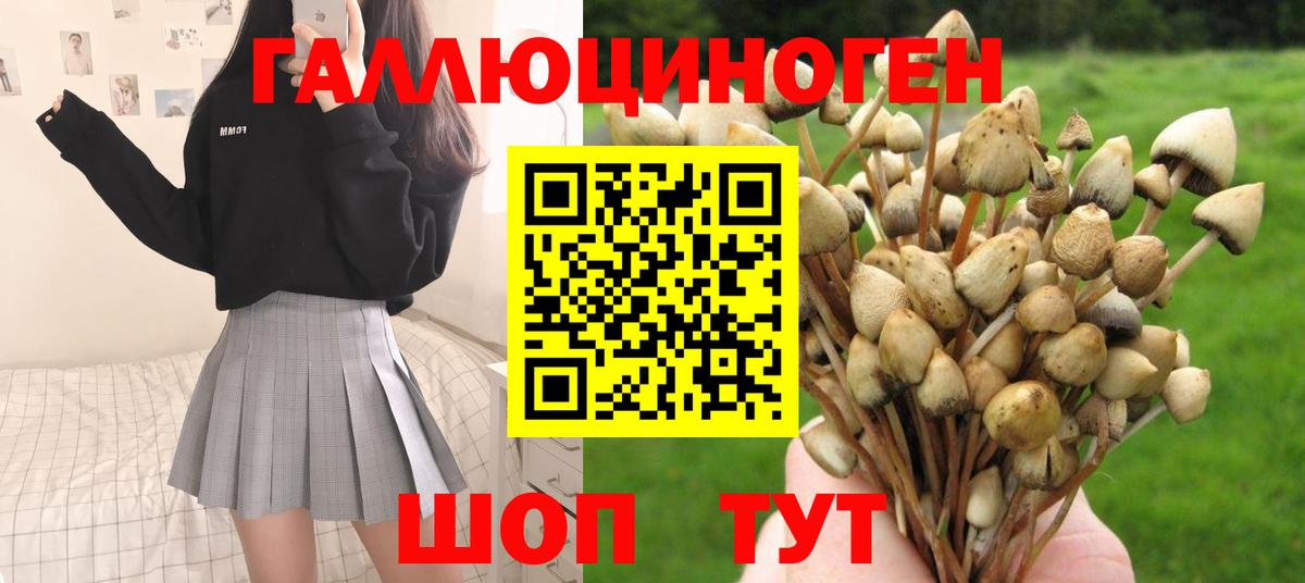 продажа наркотиков  Галлюциногенные грибы прущие грибы  Вход с VPN  Бузулук  Галлюциногенные грибы Magic Shrooms 
